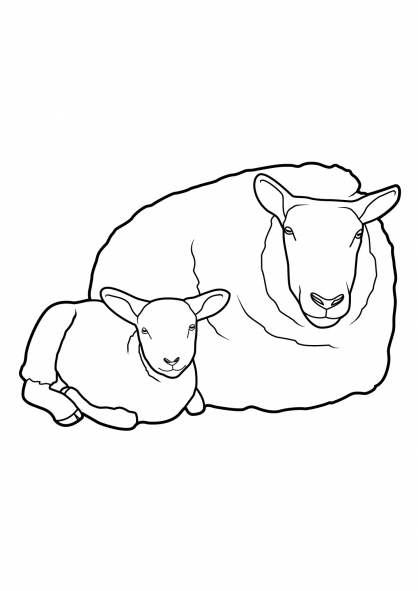 着色页: 羊 (动物) #11521 - 免费可打印着色页