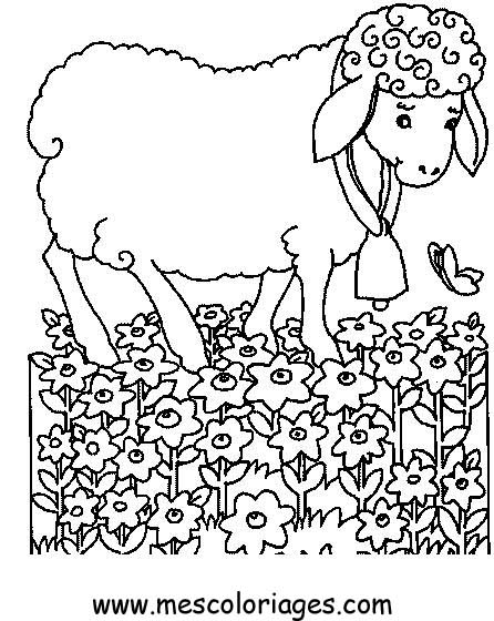 着色页: 羊 (动物) #11533 - 免费可打印着色页