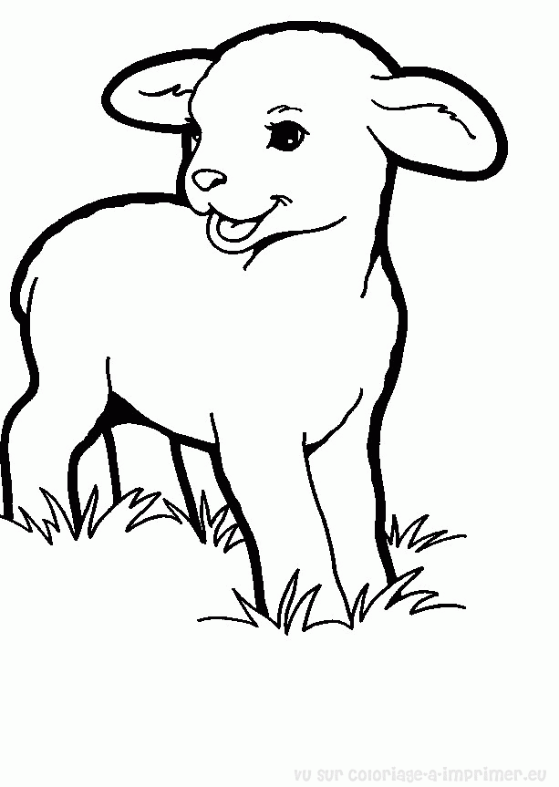 着色页: 羊 (动物) #11548 - 免费可打印着色页