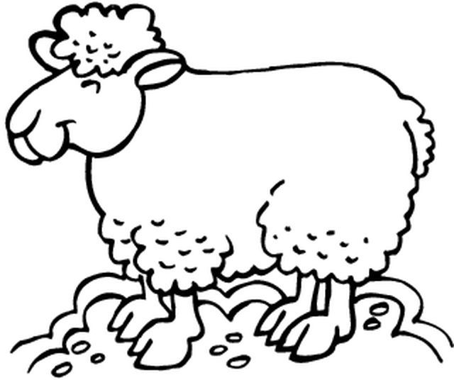 着色页: 羊 (动物) #11571 - 免费可打印着色页