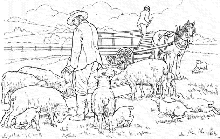 着色页: 羊 (动物) #11586 - 免费可打印着色页