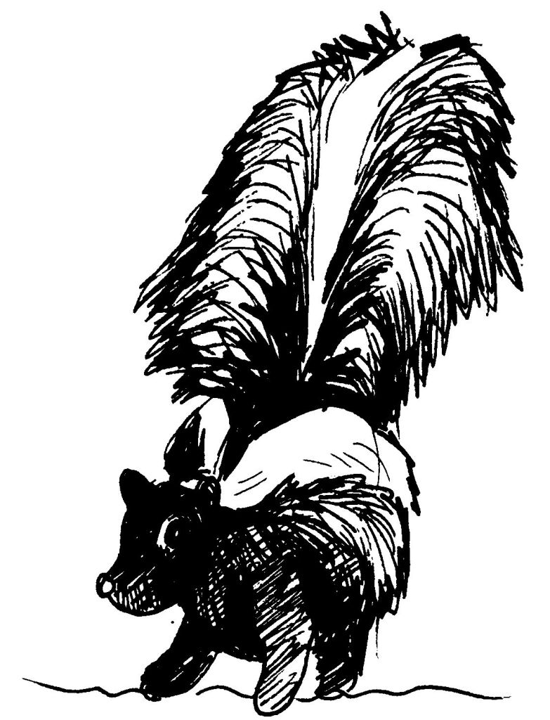 着色页: 臭鼬 (动物) #11192 - 免费可打印着色页