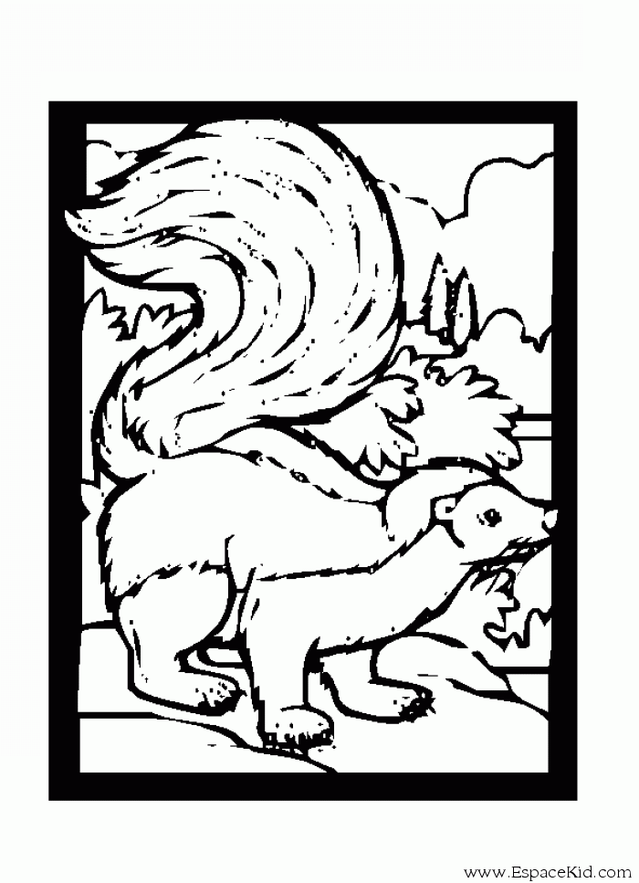着色页: 臭鼬 (动物) #11290 - 免费可打印着色页
