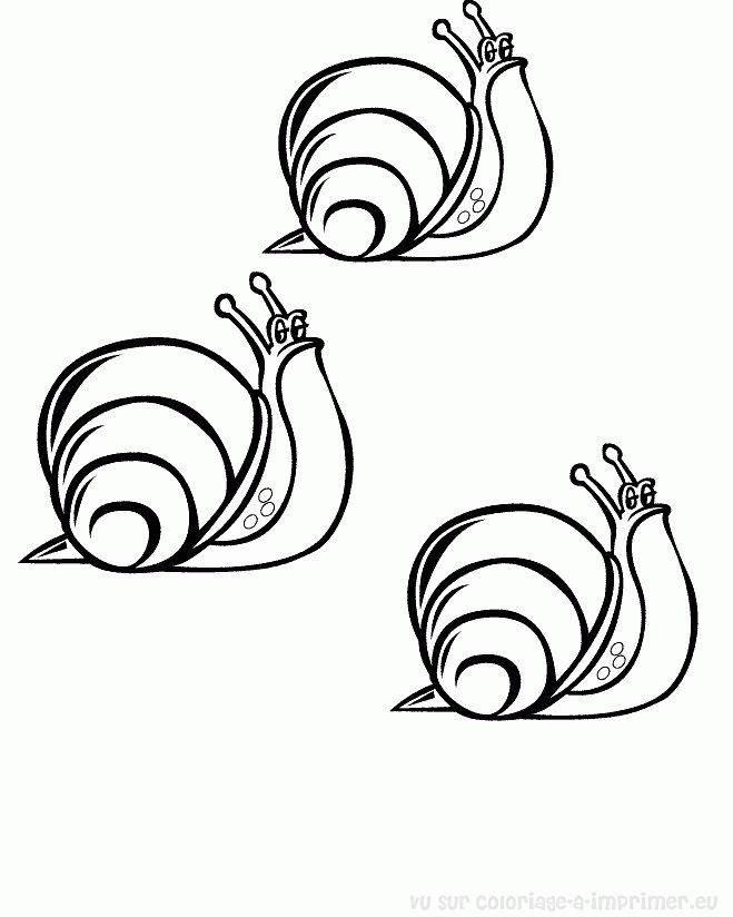 着色页: 蜗牛 (动物) #6514 - 免费可打印着色页