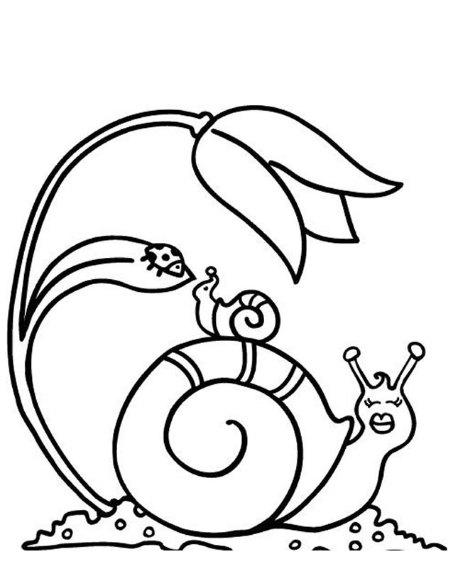 着色页: 蜗牛 (动物) #6526 - 免费可打印着色页