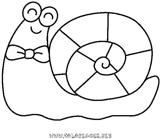 着色页: 蜗牛 (动物) #6549 - 免费可打印着色页