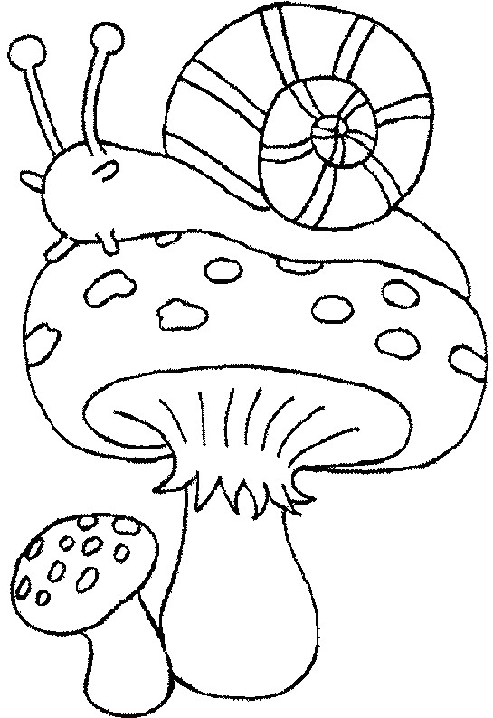 着色页: 蜗牛 (动物) #6558 - 免费可打印着色页