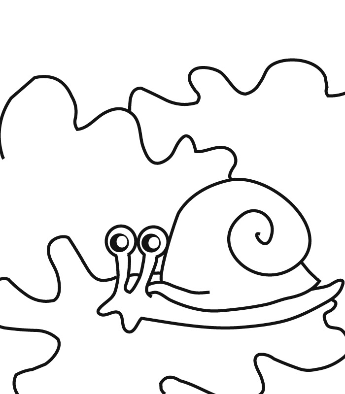 着色页: 蜗牛 (动物) #6559 - 免费可打印着色页
