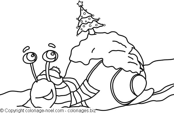 着色页: 蜗牛 (动物) #6575 - 免费可打印着色页