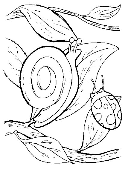 着色页: 蜗牛 (动物) #6583 - 免费可打印着色页