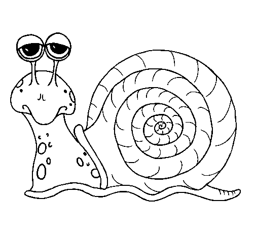 着色页: 蜗牛 (动物) #6588 - 免费可打印着色页