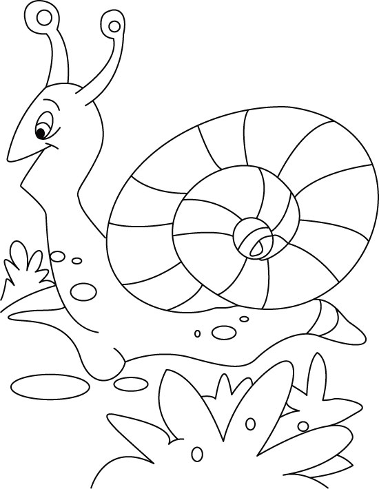 着色页: 蜗牛 (动物) #6590 - 免费可打印着色页