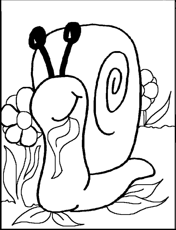 着色页: 蜗牛 (动物) #6615 - 免费可打印着色页