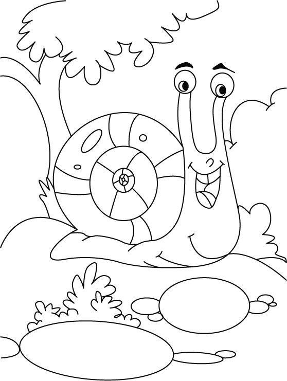 着色页: 蜗牛 (动物) #6631 - 免费可打印着色页