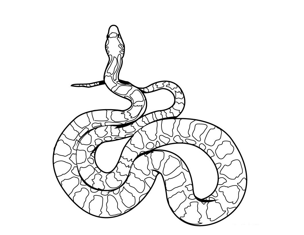 着色页: 蛇 (动物) #14337 - 免费可打印着色页