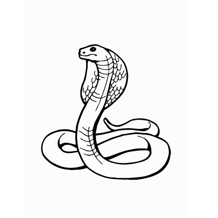 着色页: 蛇 (动物) #14341 - 免费可打印着色页