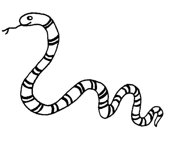 着色页: 蛇 (动物) #14349 - 免费可打印着色页