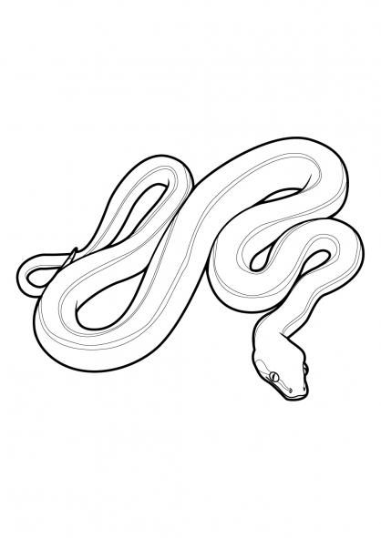 着色页: 蛇 (动物) #14358 - 免费可打印着色页