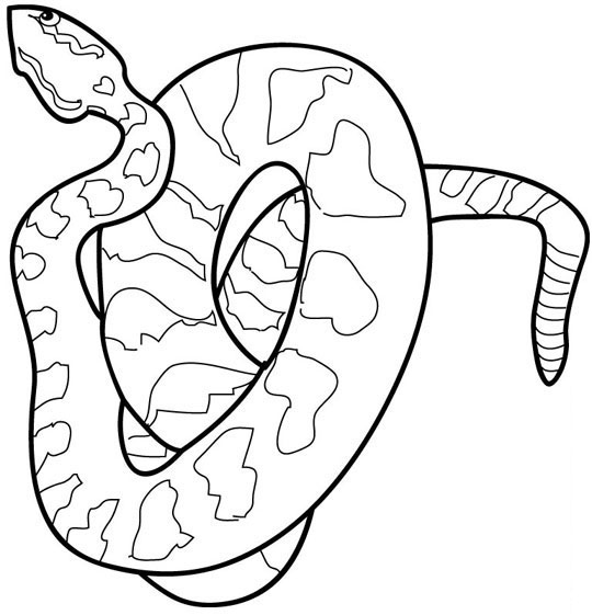 着色页: 蛇 (动物) #14359 - 免费可打印着色页