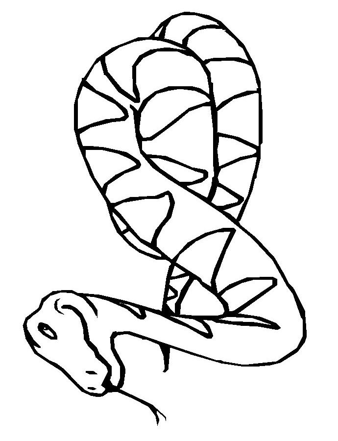 着色页: 蛇 (动物) #14360 - 免费可打印着色页