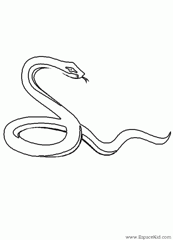 着色页: 蛇 (动物) #14365 - 免费可打印着色页