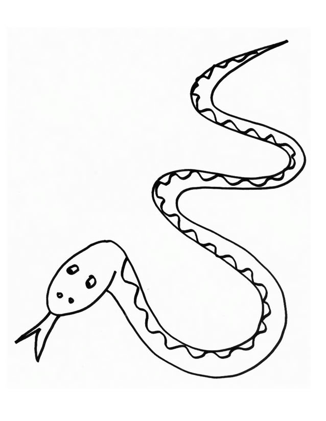 着色页: 蛇 (动物) #14370 - 免费可打印着色页