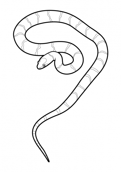 着色页: 蛇 (动物) #14410 - 免费可打印着色页