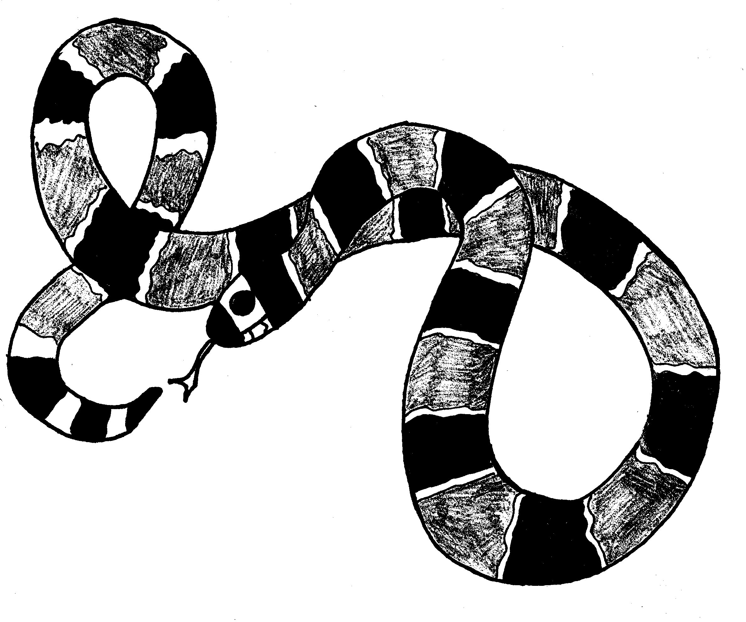 着色页: 蛇 (动物) #14426 - 免费可打印着色页
