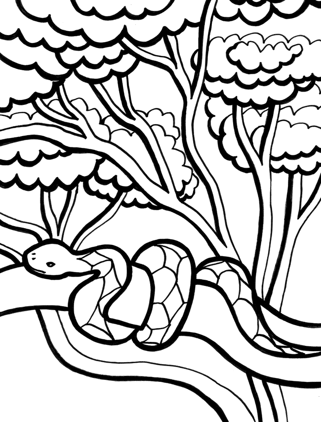 着色页: 蛇 (动物) #14453 - 免费可打印着色页
