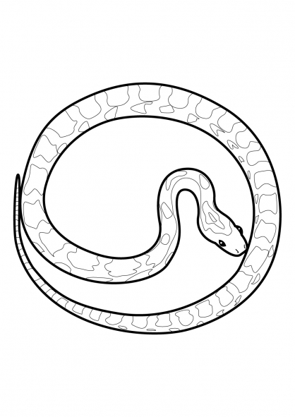 着色页: 蛇 (动物) #14482 - 免费可打印着色页