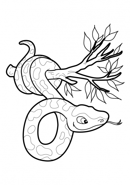 着色页: 蛇 (动物) #14486 - 免费可打印着色页