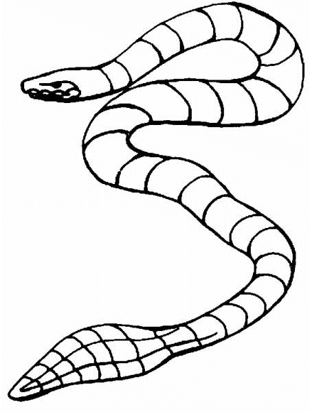 着色页: 蛇 (动物) #14512 - 免费可打印着色页