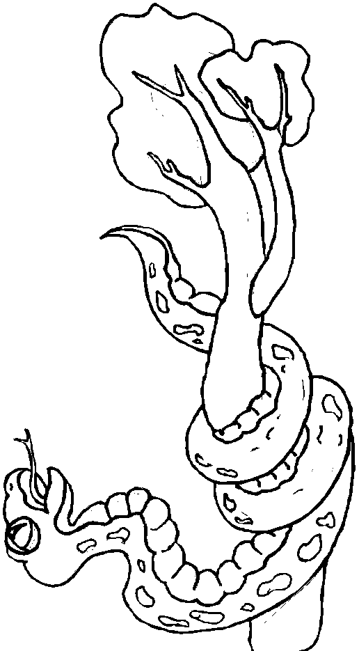 着色页: 蛇 (动物) #14525 - 免费可打印着色页