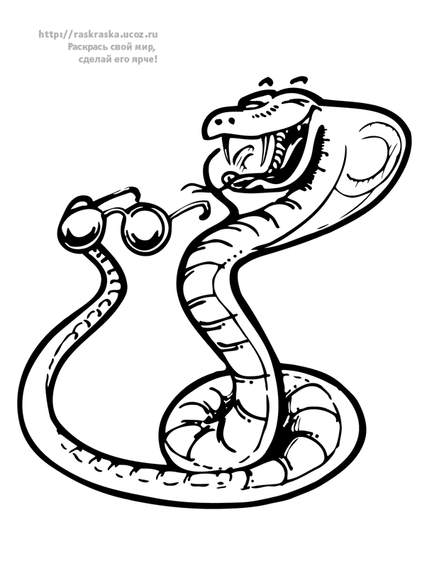 着色页: 蛇 (动物) #14536 - 免费可打印着色页