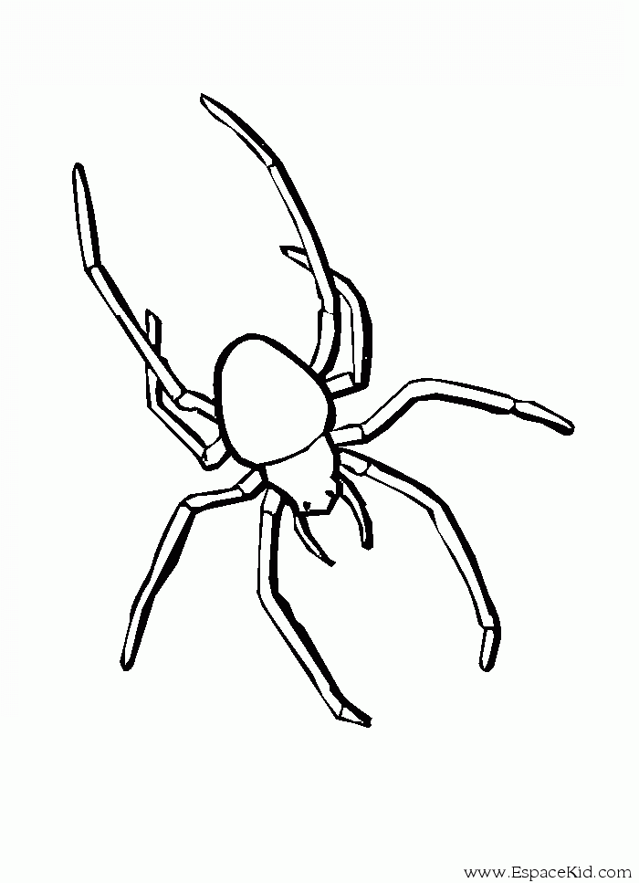 着色页: 蜘蛛 (动物) #587 - 免费可打印着色页