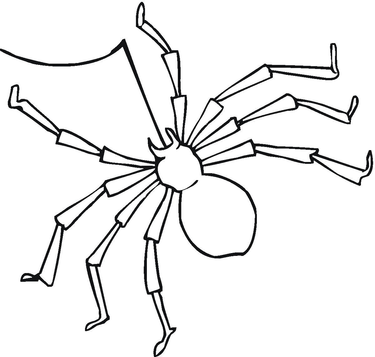 着色页: 蜘蛛 (动物) #597 - 免费可打印着色页