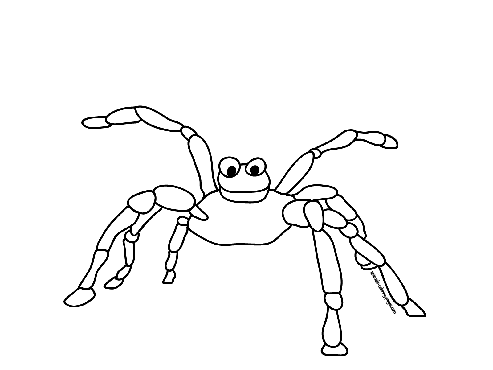 着色页: 蜘蛛 (动物) #611 - 免费可打印着色页