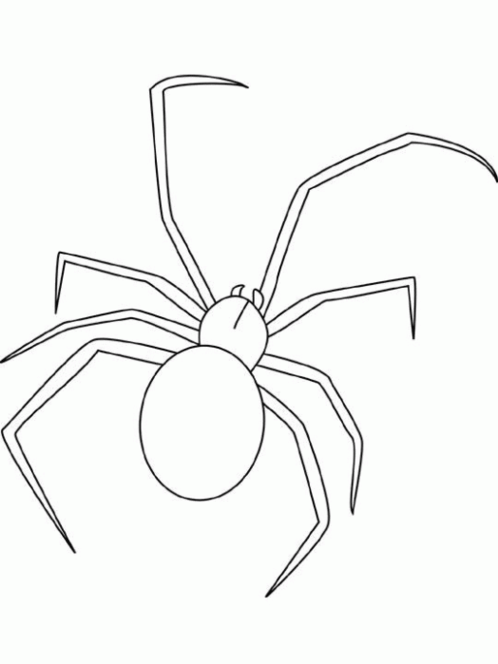 着色页: 蜘蛛 (动物) #613 - 免费可打印着色页