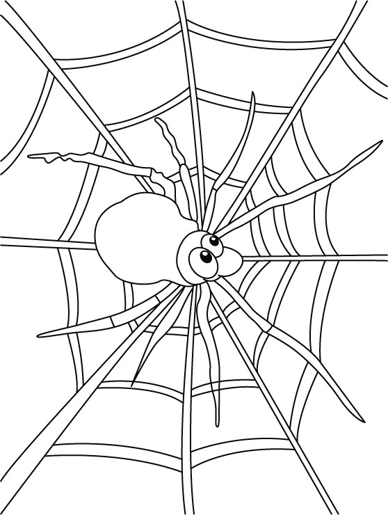 着色页: 蜘蛛 (动物) #648 - 免费可打印着色页