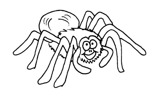 着色页: 蜘蛛 (动物) #656 - 免费可打印着色页