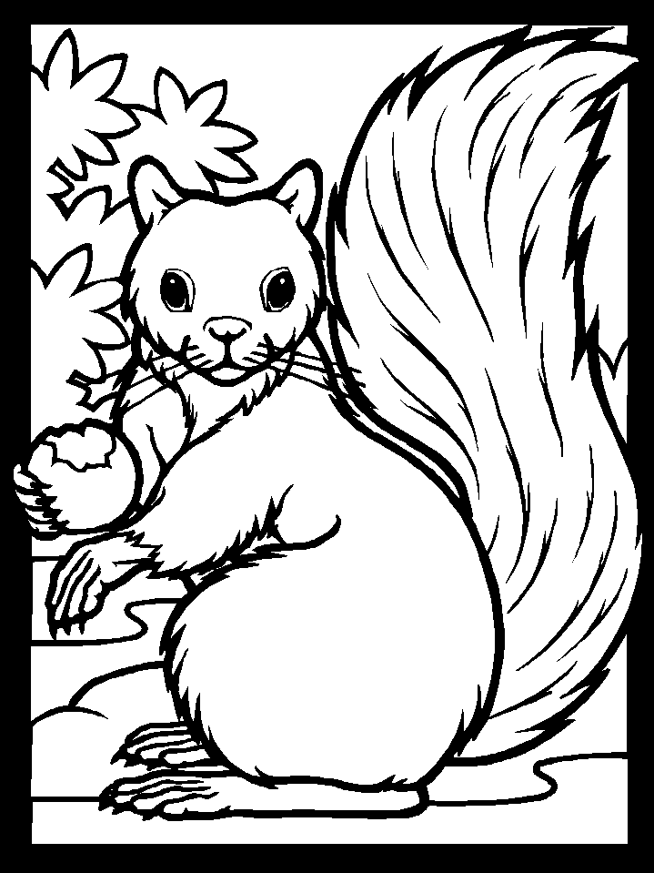 着色页: 松鼠 (动物) #6108 - 免费可打印着色页