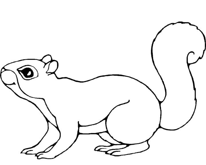 着色页: 松鼠 (动物) #6113 - 免费可打印着色页