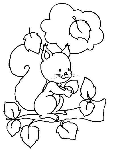 着色页: 松鼠 (动物) #6116 - 免费可打印着色页