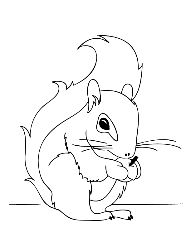着色页: 松鼠 (动物) #6142 - 免费可打印着色页