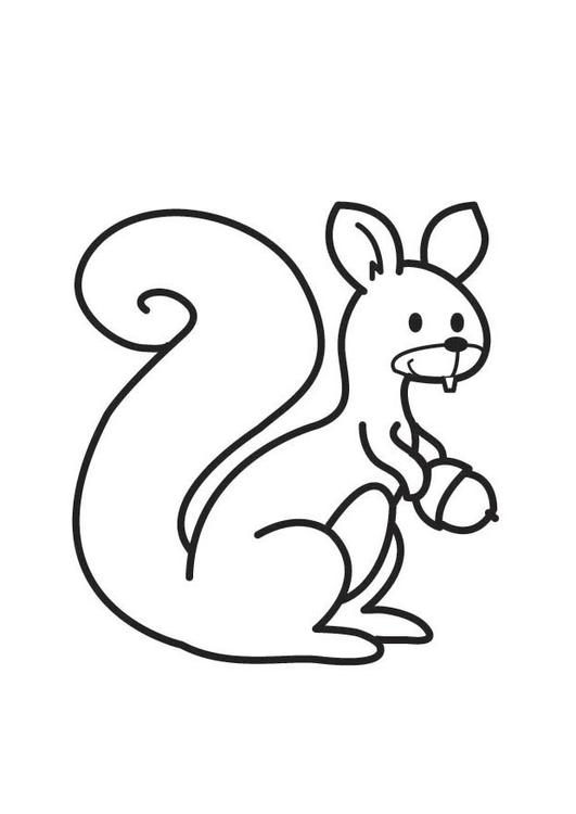 着色页: 松鼠 (动物) #6164 - 免费可打印着色页
