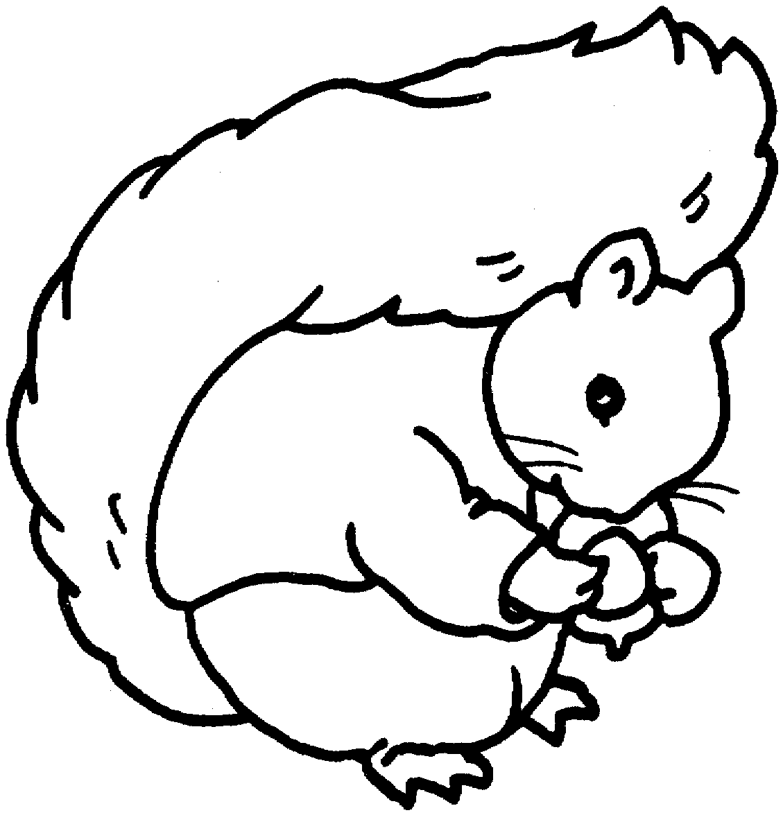 着色页: 松鼠 (动物) #6166 - 免费可打印着色页