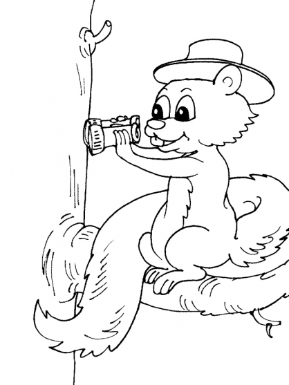 着色页: 松鼠 (动物) #6168 - 免费可打印着色页