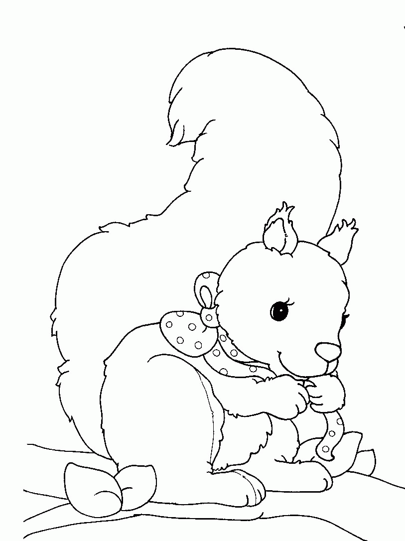 着色页: 松鼠 (动物) #6175 - 免费可打印着色页