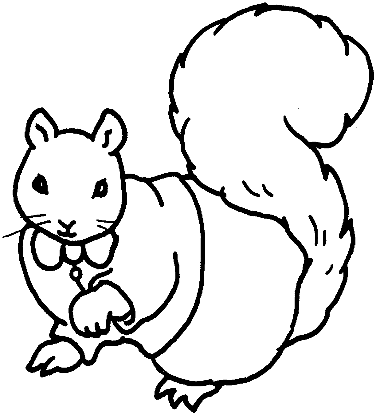 着色页: 松鼠 (动物) #6177 - 免费可打印着色页
