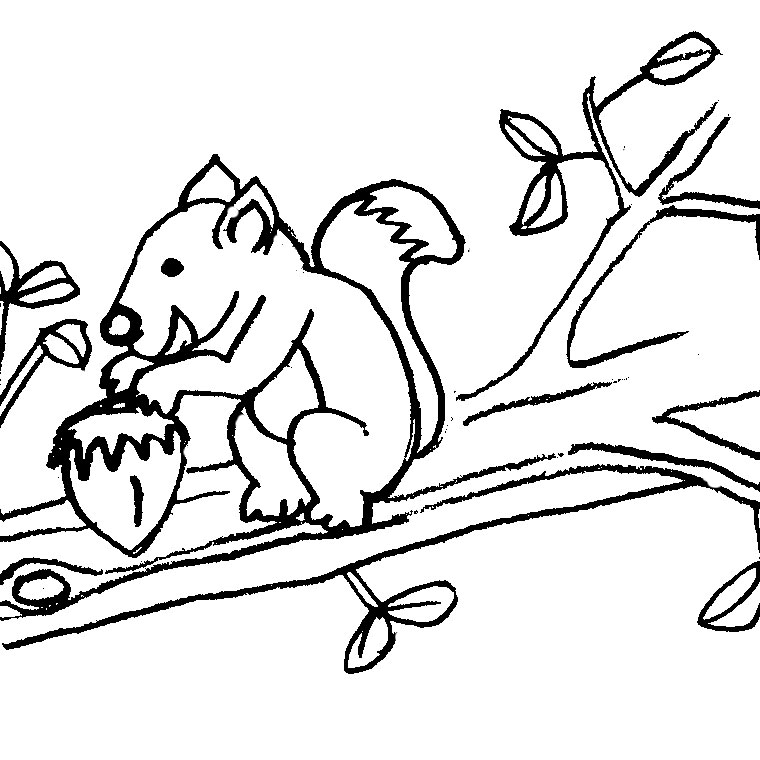 着色页: 松鼠 (动物) #6194 - 免费可打印着色页